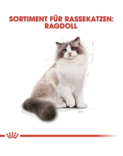 ROYAL CANIN Ragdoll adult 0.4 kg