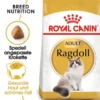 ROYAL CANIN Ragdoll adult 20kg (2x10kg)