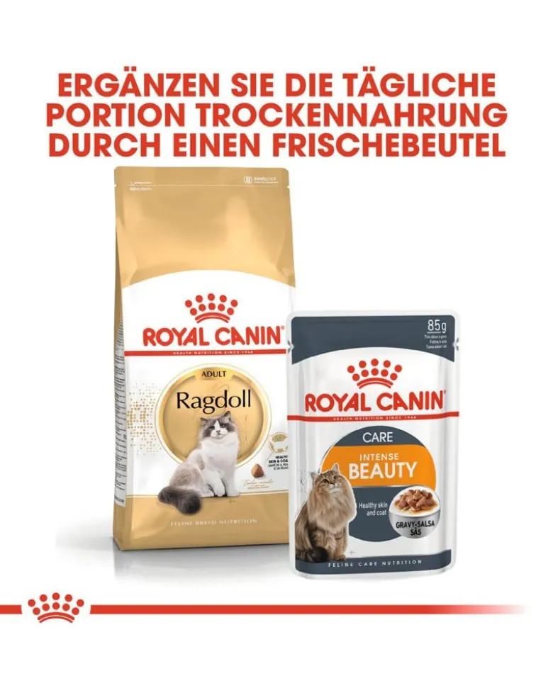 ROYAL CANIN Ragdoll adult 20kg (2x10kg)