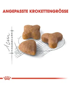 ROYAL CANIN Sensible 33 2 kg