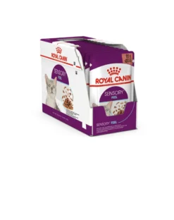 ROYAL CANIN Sensory Feel gravy 24x85 g pezzi di salsa per gatti adulti per stimolare la percezione della consistenza