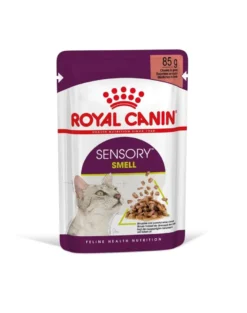 ROYAL CANIN Sensory Smell gravy 12x85 g pezzi in salsa per gatti adulti che stimolano le esperienze olfattive