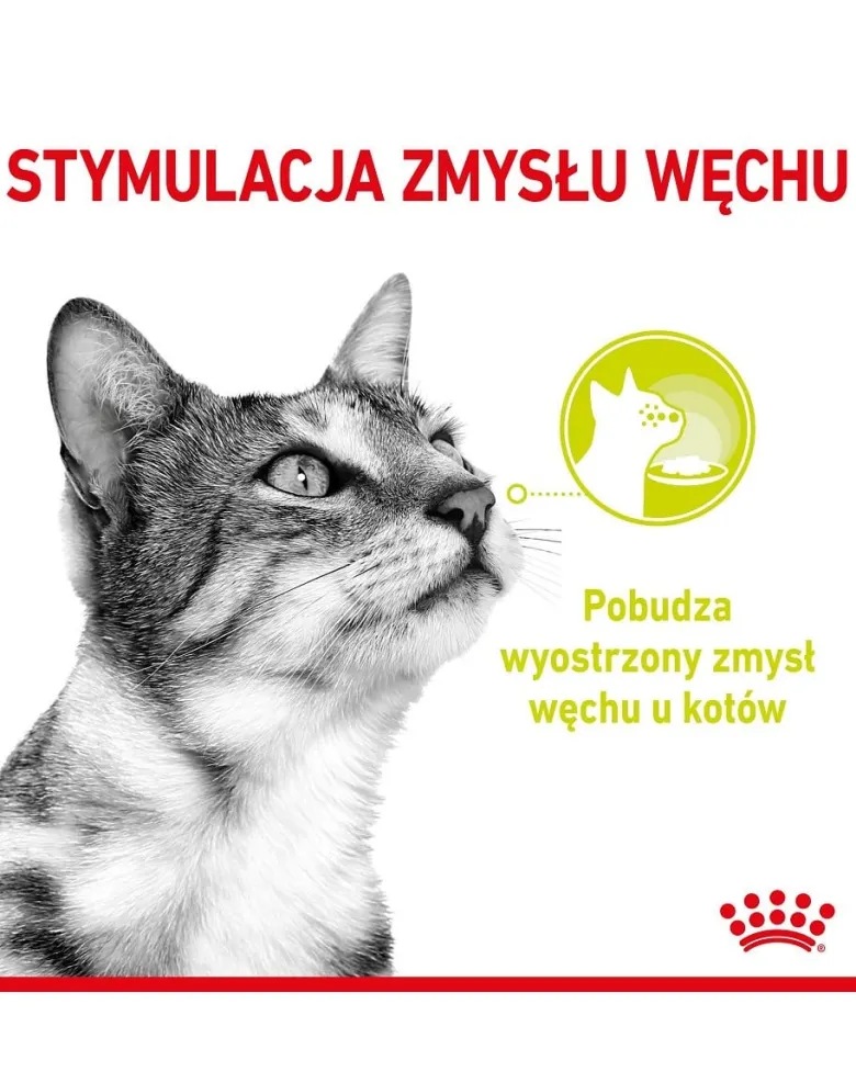 ROYAL CANIN Sensory Smell gravy 12x85 g pezzi in salsa per gatti adulti che stimolano le esperienze olfattive