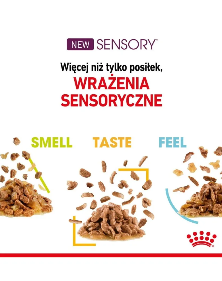 ROYAL CANIN Sensory Smell gravy 12x85 g pezzi in salsa per gatti adulti che stimolano le esperienze olfattive