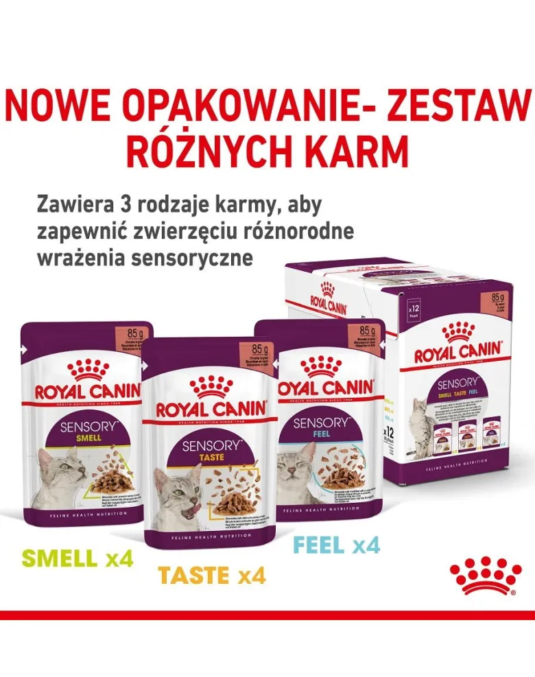 ROYAL CANIN Sensory Smell gravy 12x85 g pezzi in salsa per gatti adulti che stimolano le esperienze olfattive