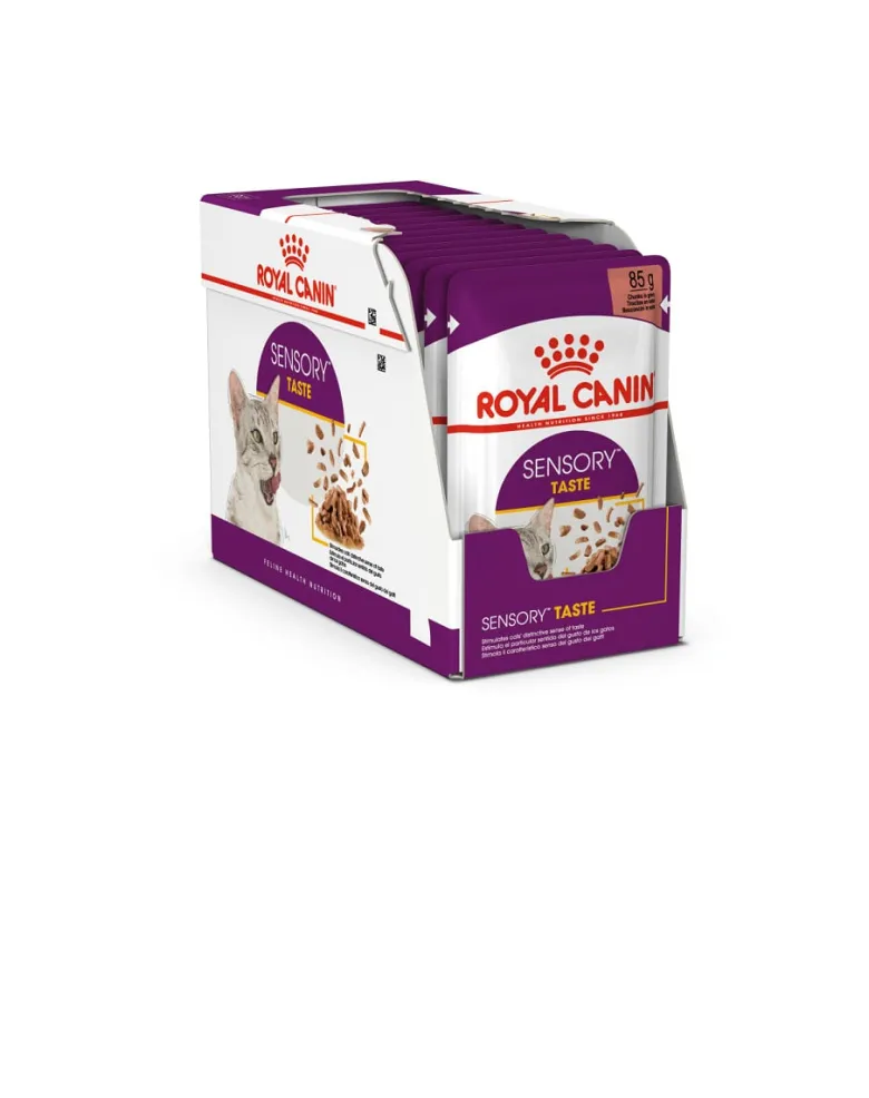 ROYAL CANIN Sensory Taste jelly 24x85 g pezzi in salsa per gatti adulti per stimolare l'esperienza del gusto