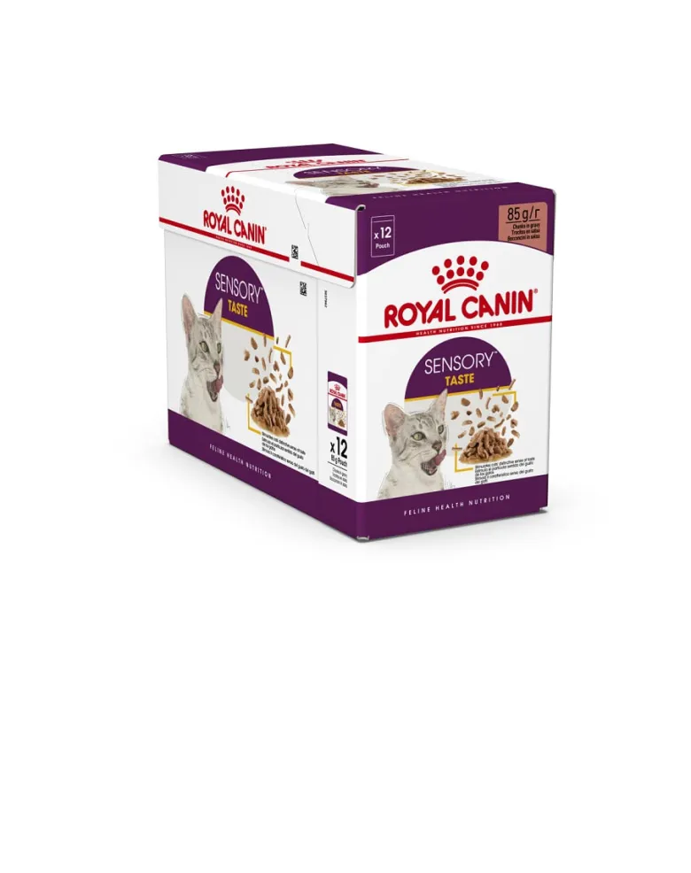 ROYAL CANIN Sensory Taste jelly 24x85 g pezzi in salsa per gatti adulti per stimolare l'esperienza del gusto