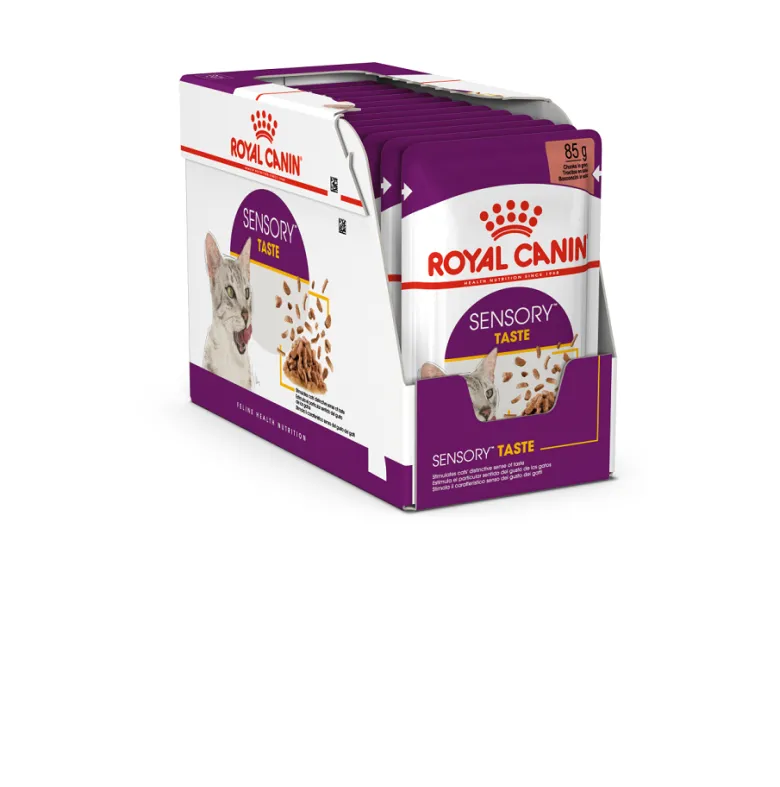 ROYAL CANIN Sensory Taste jelly 24x85 g pezzi in salsa per gatti adulti per stimolare l'esperienza del gusto