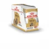 ROYAL CANIN Shih Tzu Adult Loaf 24 x 85 g pezzi in salsa, per cani shih tzu adulti