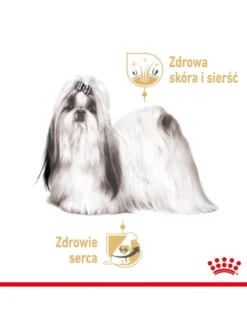 ROYAL CANIN Shih Tzu Adult Loaf 24 x 85 g pezzi in salsa, per cani shih tzu adulti