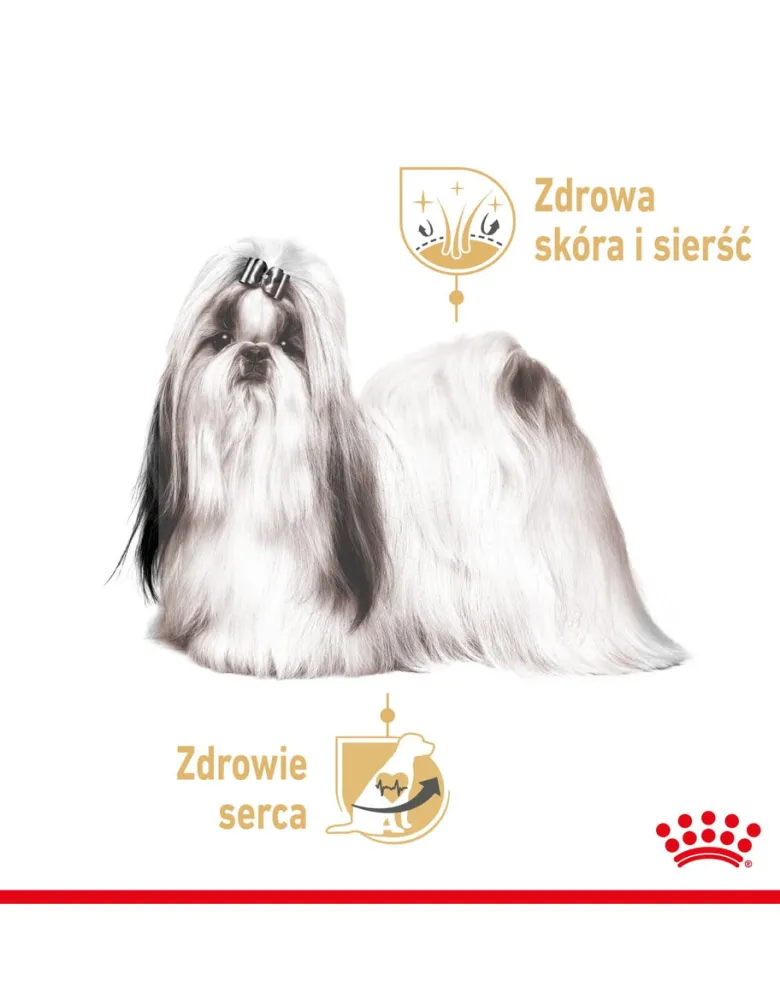 ROYAL CANIN Shih Tzu Adult Loaf 48 x 85 g pezzi in salsa, per cani shih tzu adulti
