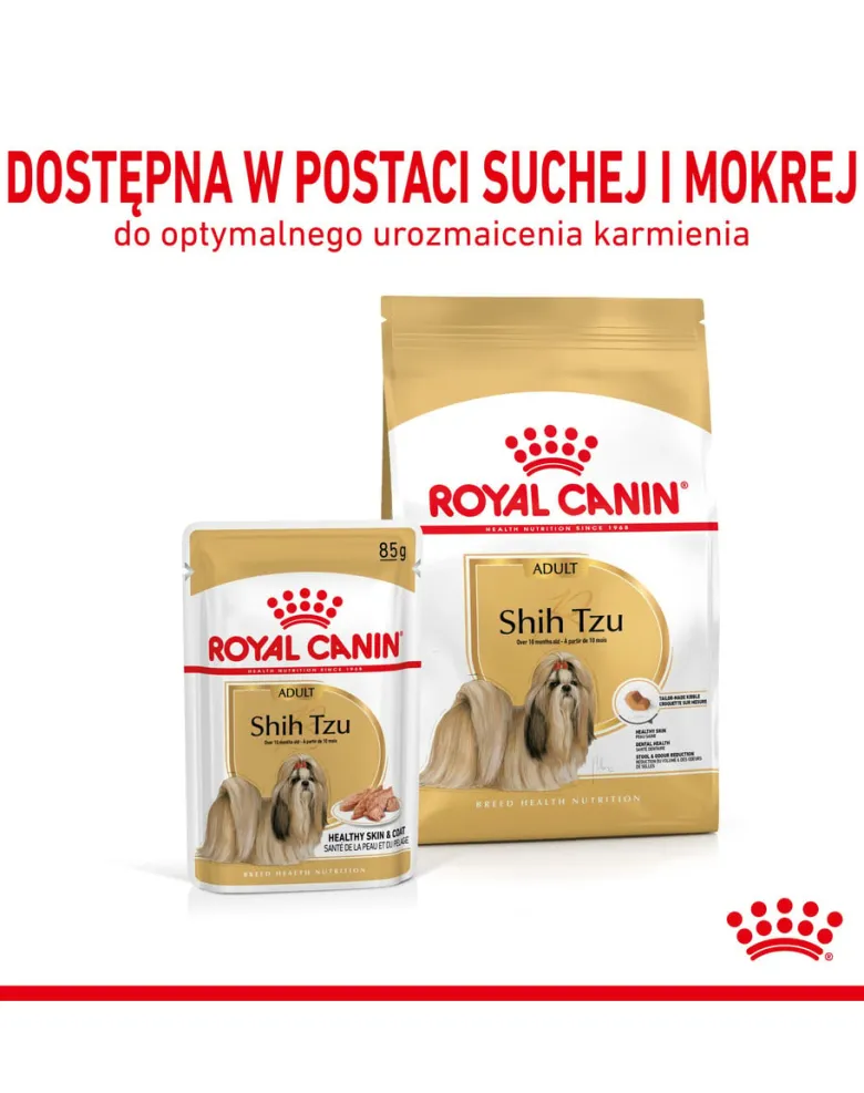 ROYAL CANIN Shih Tzu Adult Loaf 48 x 85 g pezzi in salsa, per cani shih tzu adulti