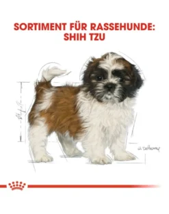 ROYAL CANIN Shih Tzu junior 0.5 kg