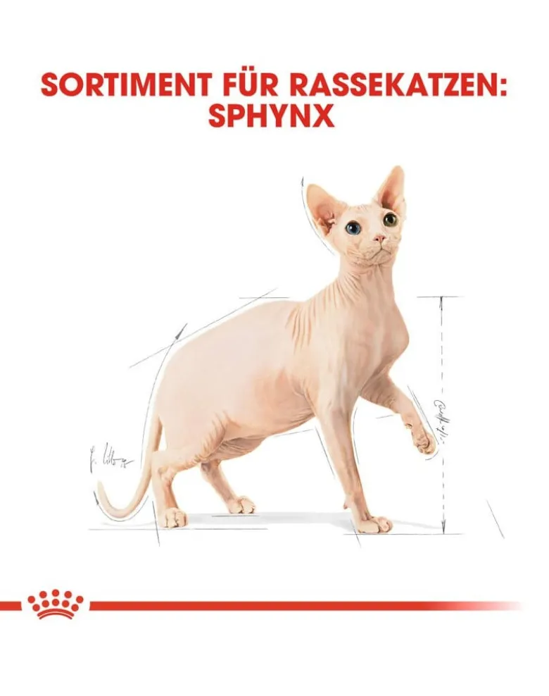 ROYAL CANIN Sphynx Adult 20kg (2x10kg)