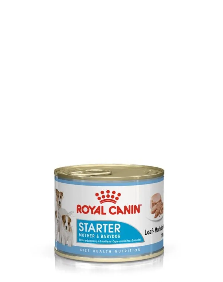 ROYAL CANIN Starter Mousse Mother & Babydog 12x195 g è indispensabile per le cagne durante la gravidanza, l'allattamento e i cuccioli