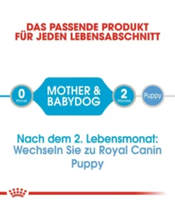 ROYAL CANIN Starter Mousse Mother & Babydog 12x195 g è indispensabile per le cagne durante la gravidanza, l'allattamento e i cuccioli