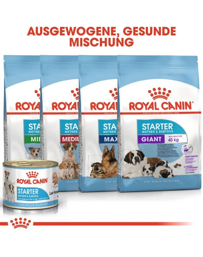 ROYAL CANIN Starter Mousse Mother & Babydog 12x195 g è indispensabile per le cagne durante la gravidanza, l'allattamento e i cuccioli