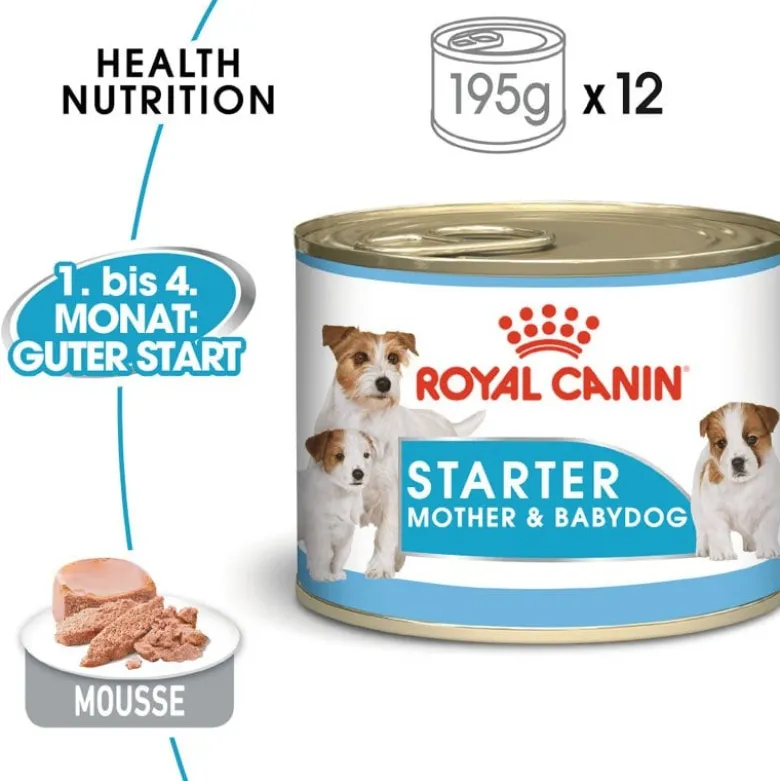 ROYAL CANIN Starter Mousse Mother & Babydog 12x195 g è indispensabile per le cagne durante la gravidanza, l'allattamento e i cuccioli