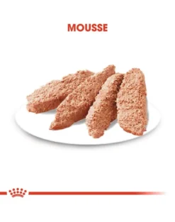 ROYAL CANIN Sterilised cibo umido - pâté per cani adulti sterilizzati 12 x 85 g