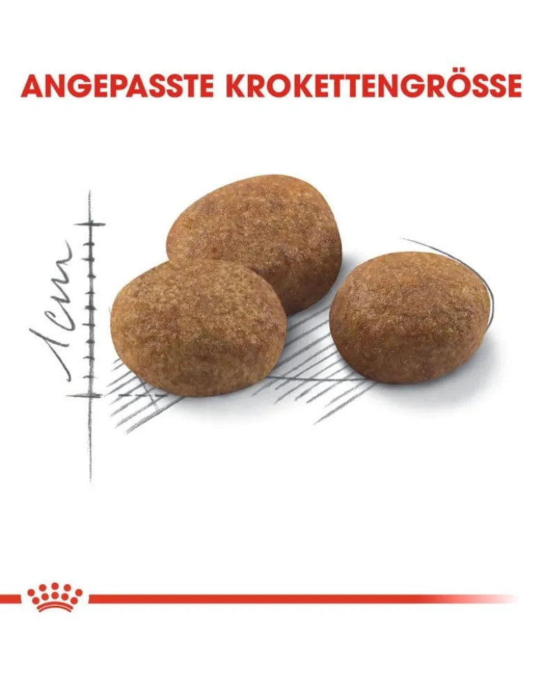 ROYAL CANIN Sterilised +7 20kg (2x10kg)