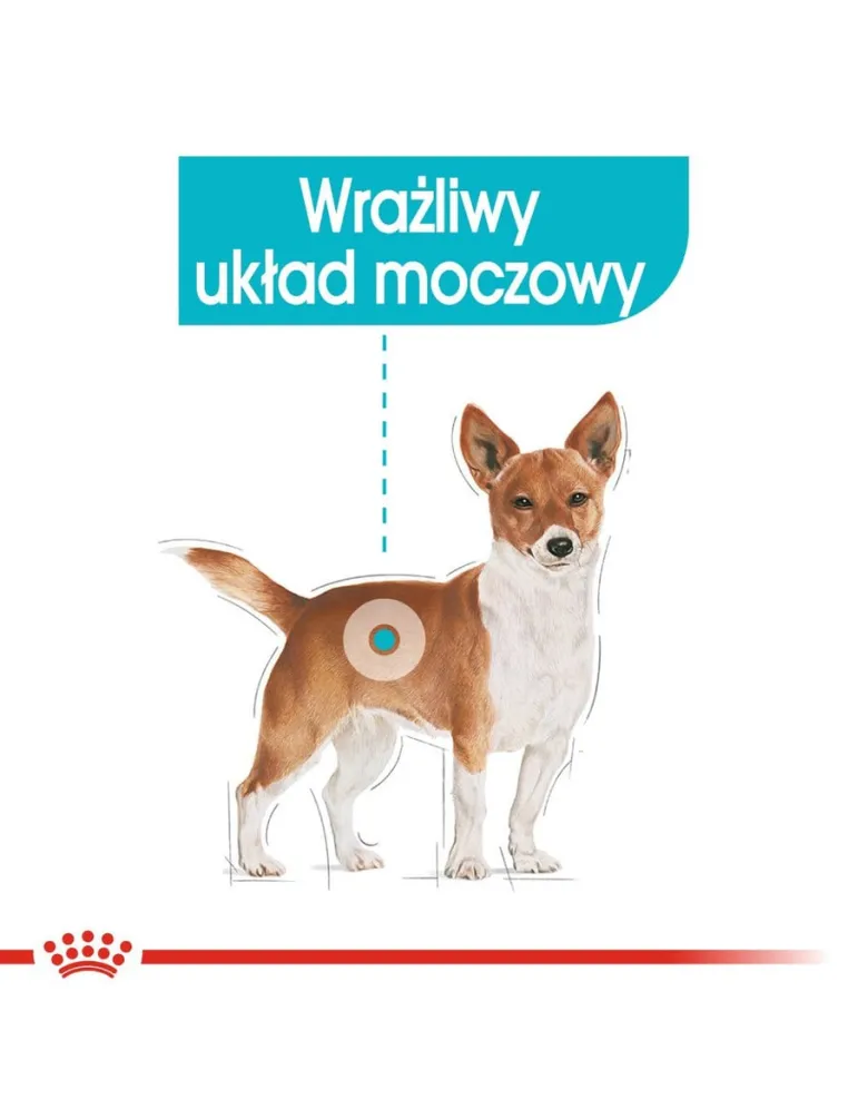 ROYAL CANIN Urinary Care 85 g x 12