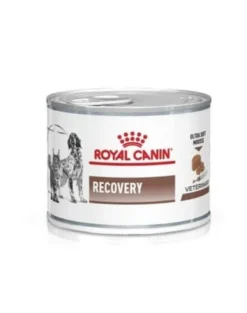 ROYAL CANIN Vet Recovery dog/cat 195g