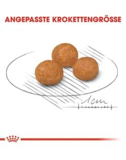 ROYAL CANIN X-Small adult 3 kg