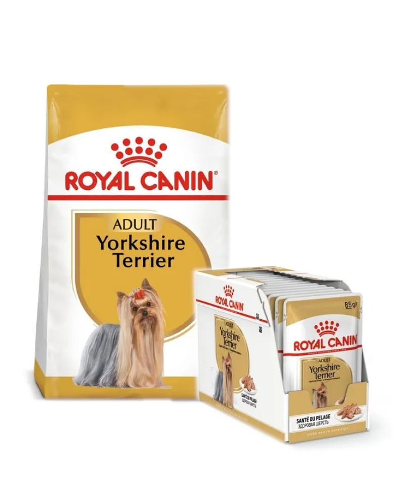 ROYAL CANIN Yorkshire Terrier Adult 7.5kg secco + umido 12x85g
