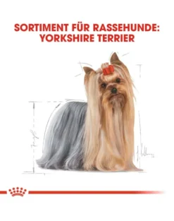 ROYAL CANIN Yorkshire 12 x 85g