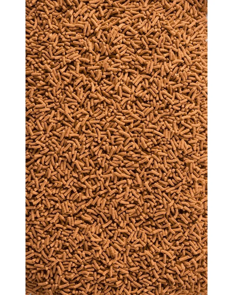 TETRA Pond KOI Sticks 1l Mangime completo per carpe koi