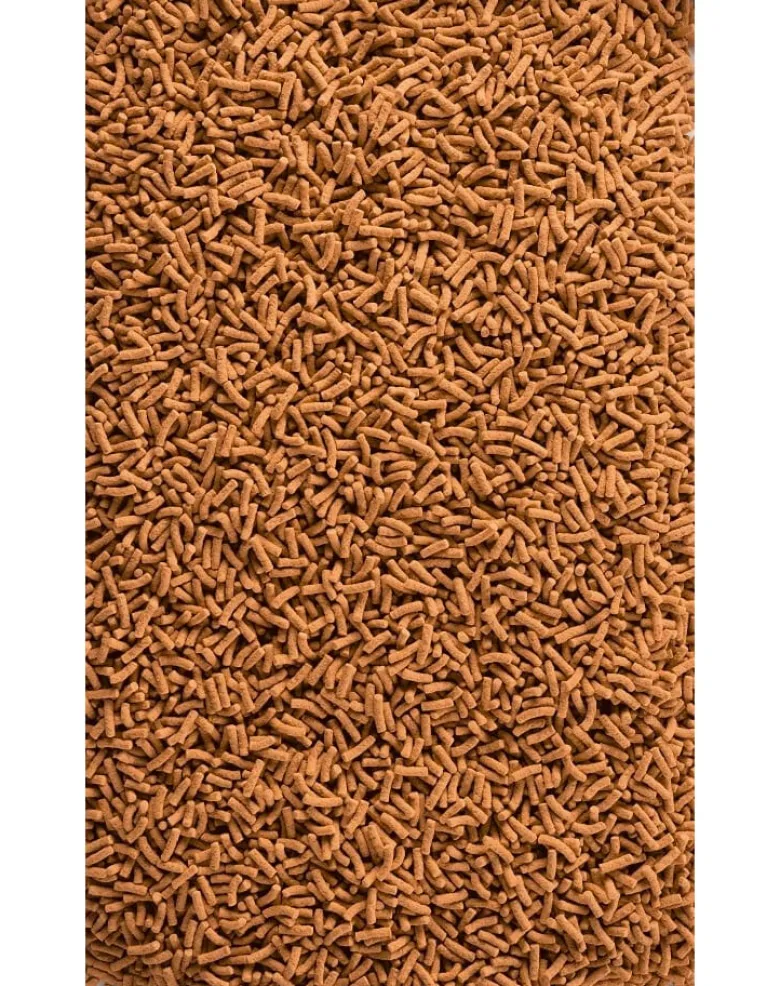 TETRA Pond KOI Sticks 7l Mangime completo per carpe koi