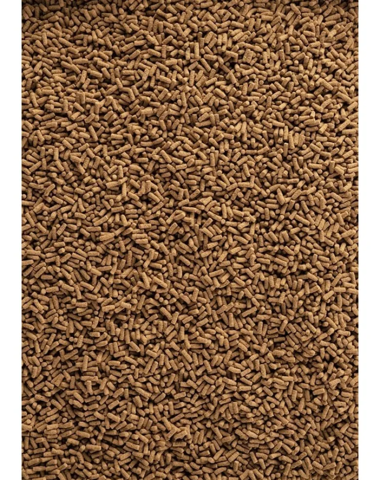 TETRA Pond Wheatgerm Sticks 1l Mangime completo per tutti i pesci da laghetto