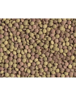 TETRA Tablets TabiMin 1040 Capsule