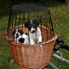 TRIXIE Cesto anteriore per cani per bicicletta