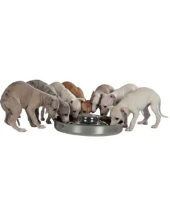 TRIXIE Ciotola per cuccioli 1,4 l 29 cm