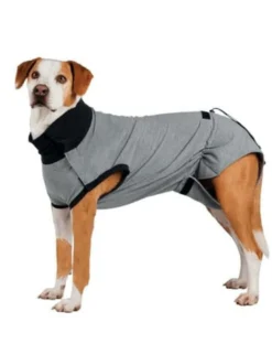 TRIXIE Indumento protettivo per cani XS: 25 cm