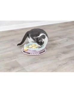 TRIXIE Junior Gattino giocattolo a cerchio 24 cm