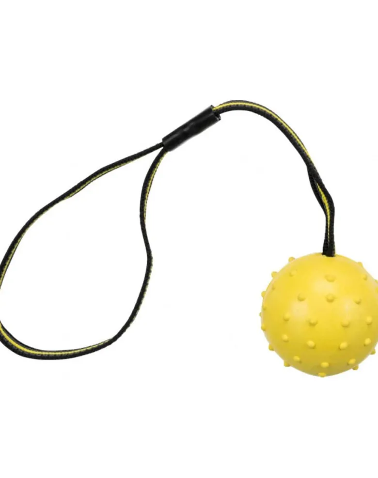 TRIXIE Palla con corda in gomma naturale 6 cm/35 cm