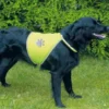 TRIXIE Panciotto di sicurezza per cani L