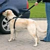 TRIXIE Pettorina per auto per cani L
