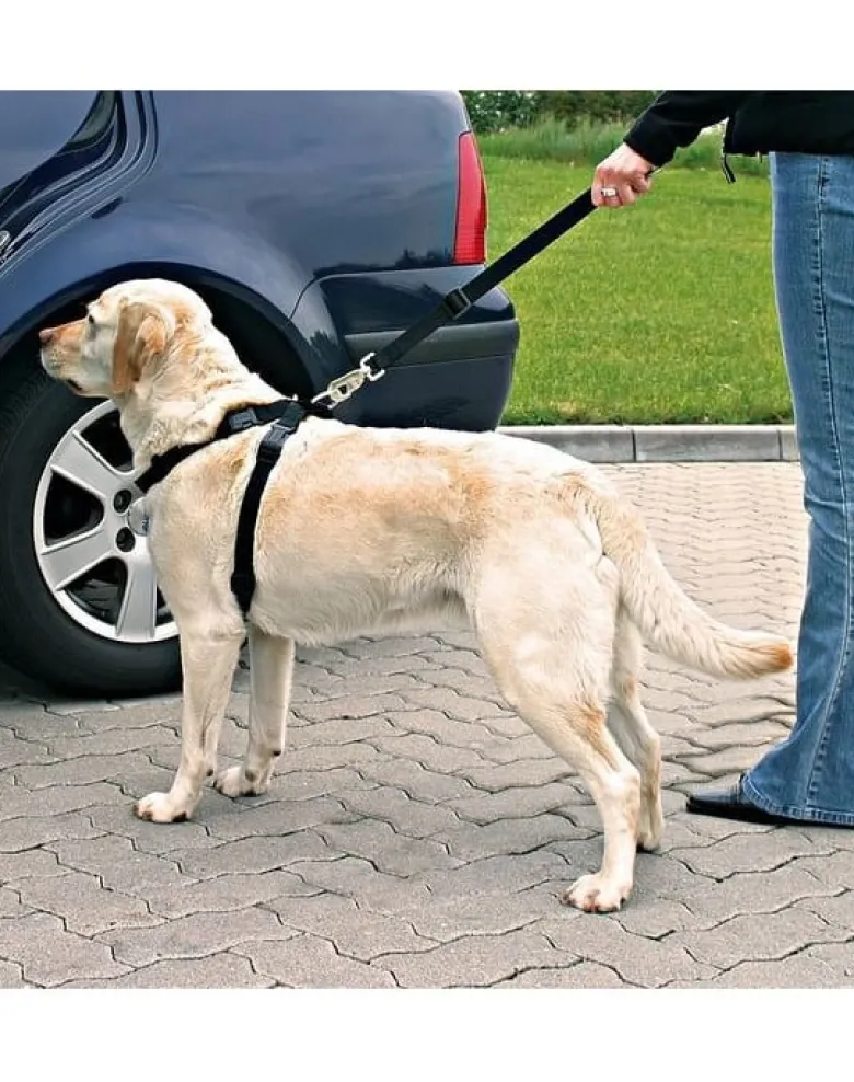 TRIXIE Pettorina per auto per cani L