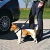 TRIXIE Pettorina per auto per cani M