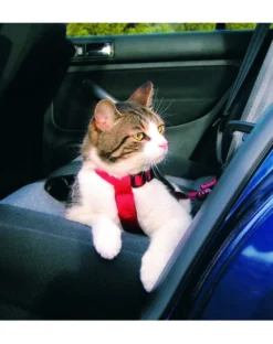 TRIXIE Pettorina per auto per gatti
