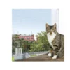 TRIXIE Rete di protezione in nylon bianco 8 x 3 m