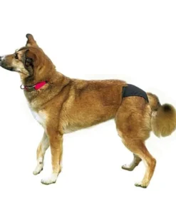 TRIXIE Slip da parto taglia XL 60-70 cm