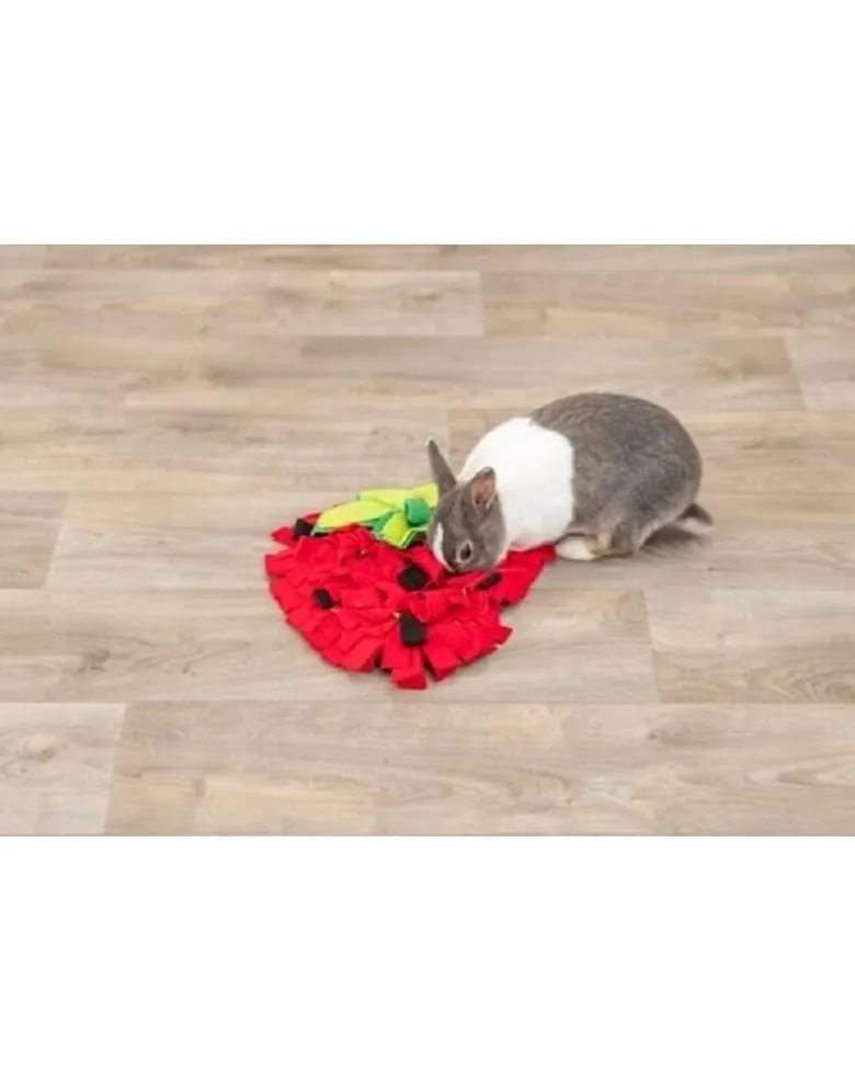 TRIXIE Tappeto olfattivo per cavie e conigli fragola rossa 33 × 40cm