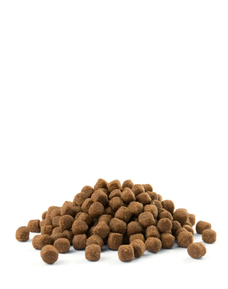 VERSELE-LAGA Opti Life Puppy Skin Care 12,5 kg al salmone per cuccioli con apparato digerente sensibile