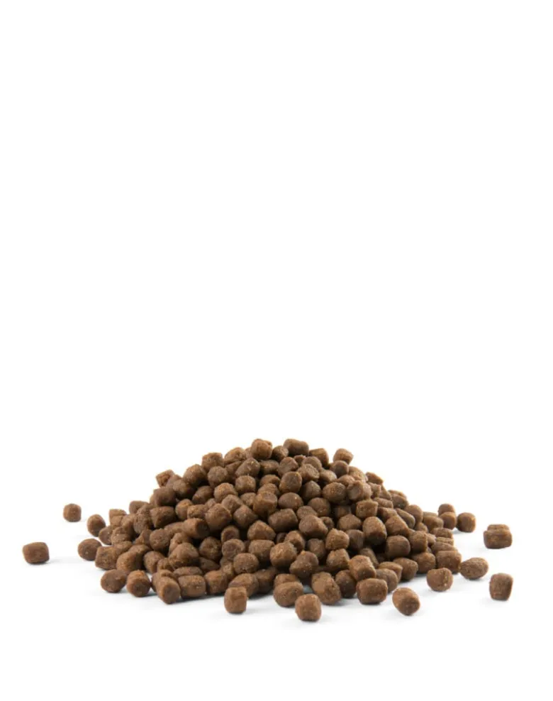 VERSELE-LAGA Puppy Mini 15kg (2x7,5kg)