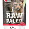 VETEXPERT RAW PALEO Sterilised beef 100g cibo umido per gatti sterilizzati manzo