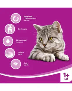 WHISKAS Adult Chicken Pollo 7kg